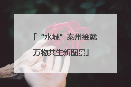 “水城”泰州绘就万物共生新图景