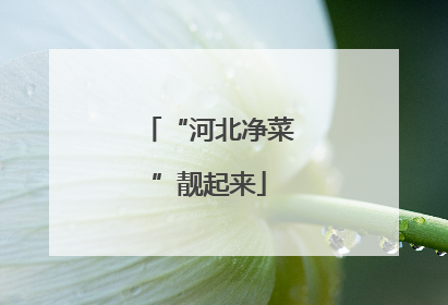“河北净菜”靓起来