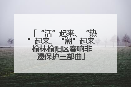 “活”起来、“热”起来、“潮”起来 榆林榆阳区奏响非遗保护三部曲