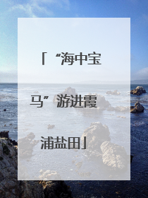 “海中宝马”游进霞浦盐田