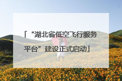 “湖北省低空飞行服务平台”建设正式启动