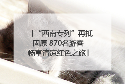 “西南专列”再抵固原 870名游客畅享清凉红色之旅