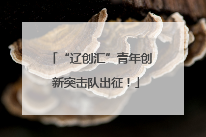 “辽创汇”青年创新突击队出征！