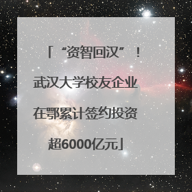“资智回汉”！武汉大学校友企业在鄂累计签约投资超6000亿元
