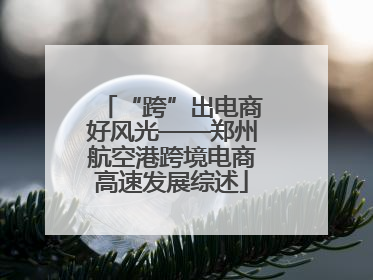 “跨”出电商好风光——郑州航空港跨境电商高速发展综述