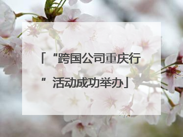“跨国公司重庆行”活动成功举办