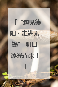 “遇见德阳・走进无锡” 明日逐光而来！