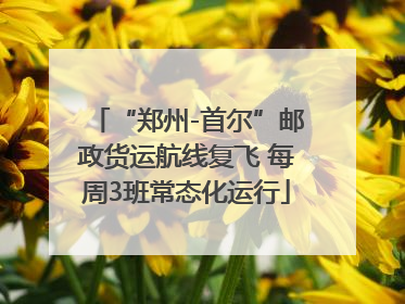 “郑州-首尔”邮政货运航线复飞 每周3班常态化运行