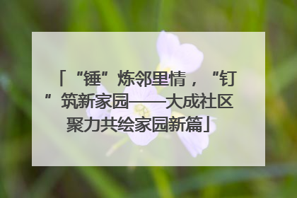 “锤”炼邻里情，“钉”筑新家园——大成社区聚力共绘家园新篇