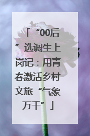 “00后”选调生上岗记：用青春激活乡村文旅“气象万千”