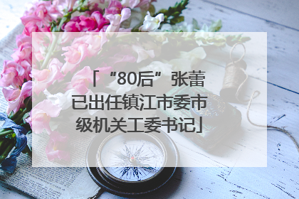 “80后”张蕾已出任镇江市委市级机关工委书记