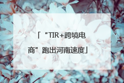 “TIR+跨境电商”跑出河南速度