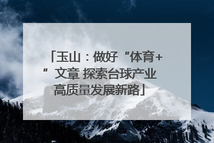 玉山：做好“体育+”文章 探索台球产业高质量发展新路