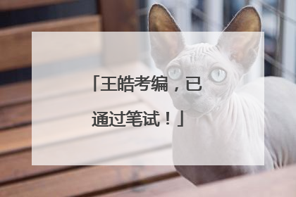 王皓考编，已通过笔试！