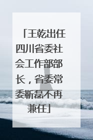 王乾出任四川省委社会工作部部长，省委常委靳磊不再兼任