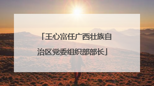 王心富任广西壮族自治区党委组织部部长
