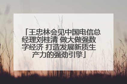王忠林会见中国电信总经理刘桂清 做大做强数字经济 打造发展新质生产力的强劲引擎
