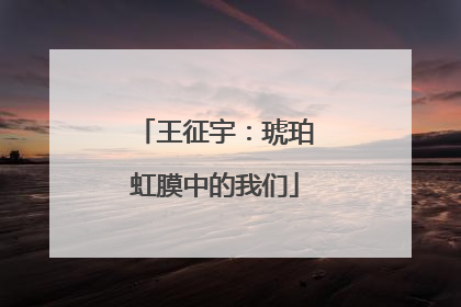 王征宇：琥珀虹膜中的我们