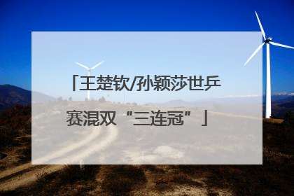 王楚钦/孙颖莎世乒赛混双“三连冠”