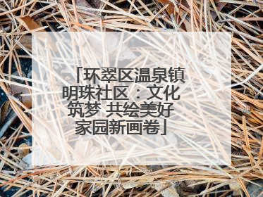 环翠区温泉镇明珠社区：文化筑梦 共绘美好家园新画卷