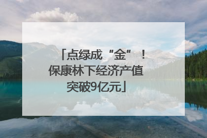 点绿成“金”！保康林下经济产值突破9亿元
