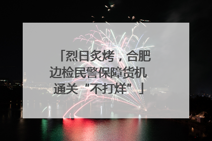 烈日炙烤，合肥边检民警保障货机通关“不打烊”