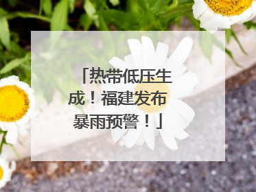 热带低压生成！福建发布暴雨预警！