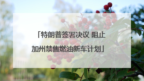 特朗普签署决议 阻止加州禁售燃油新车计划