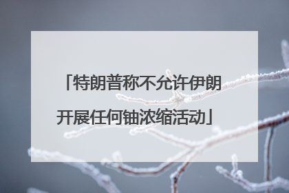 特朗普称不允许伊朗开展任何铀浓缩活动