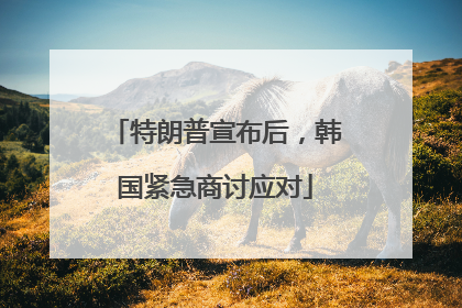 特朗普宣布后，韩国紧急商讨应对