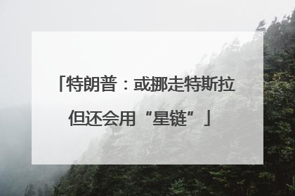 特朗普：或挪走特斯拉 但还会用“星链”