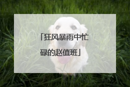 狂风暴雨中忙碌的赵值班