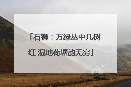 石狮：万绿丛中几树红 湿地荷塘韵无穷