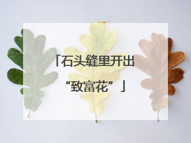 石头缝里开出“致富花”