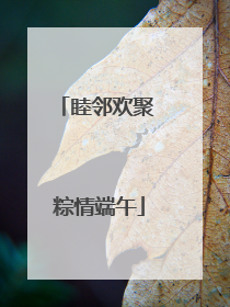 睦邻欢聚 粽情端午