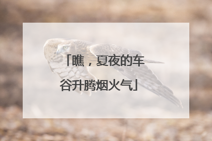 瞧，夏夜的车谷升腾烟火气