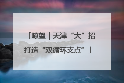 瞭望｜天津“大”招打造“双循环支点”