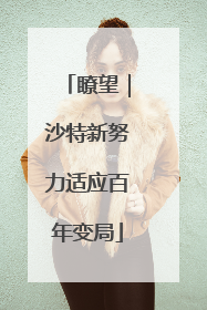 瞭望｜沙特新努力适应百年变局