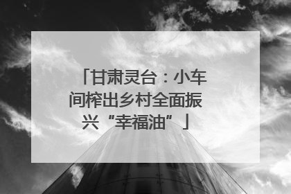 甘肃灵台：小车间榨出乡村全面振兴“幸福油”