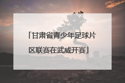 甘肃省青少年足球片区联赛在武威开赛
