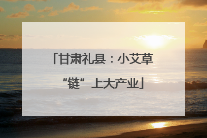 甘肃礼县：小艾草“链”上大产业