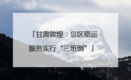 甘肃敦煌：景区骆运服务实行“三班倒”