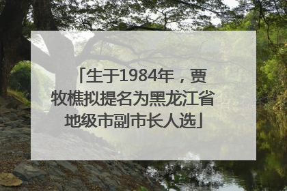 生于1984年，贾牧樵拟提名为黑龙江省地级市副市长人选
