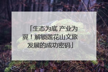 生态为底 产业为翼！解锁莲花山文旅发展的成功密码