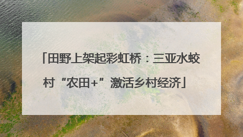 田野上架起彩虹桥：三亚水蛟村“农田+”激活乡村经济