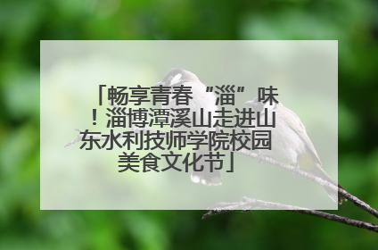 畅享青春“淄”味！淄博潭溪山走进山东水利技师学院校园美食文化节