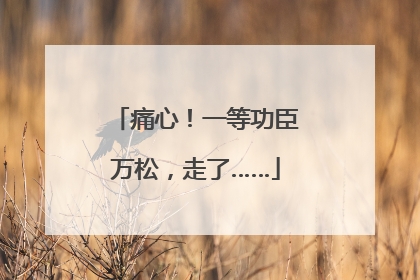 痛心！一等功臣万松，走了……