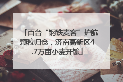 百台“钢铁麦客”护航颗粒归仓，济南高新区4.7万亩小麦开镰