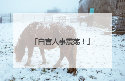 白宫人事震荡！