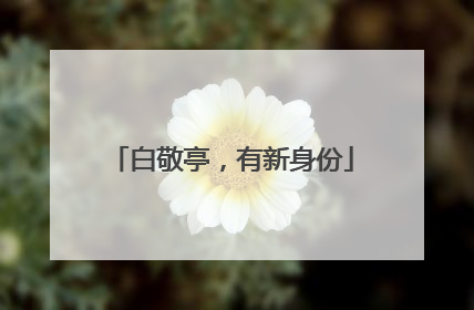 白敬亭，有新身份